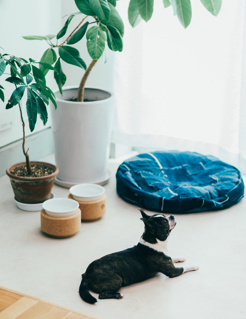再生コルク×廃デニム×再生ポリエステル BUDDY BED (ROUND) ペットと暮らす